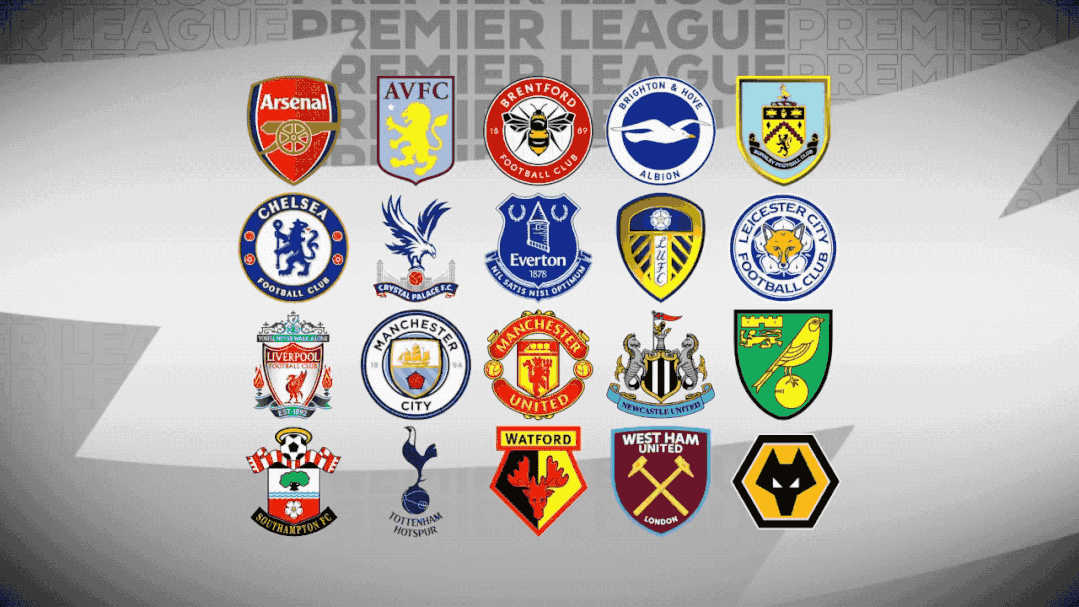 官方：捷克主力中后卫维蒂克因伤退出国家队（官方通报：捷克主力中卫维蒂克伤退国家队）